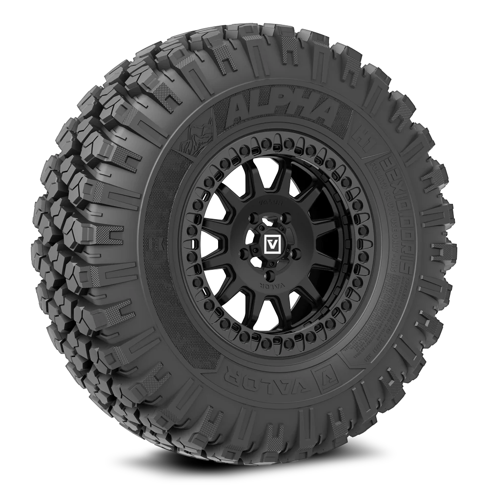 ALPHA TIRE/ V09 combo