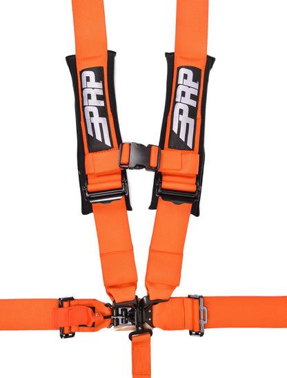 5.3 Harness - MULTIPLE COLORS