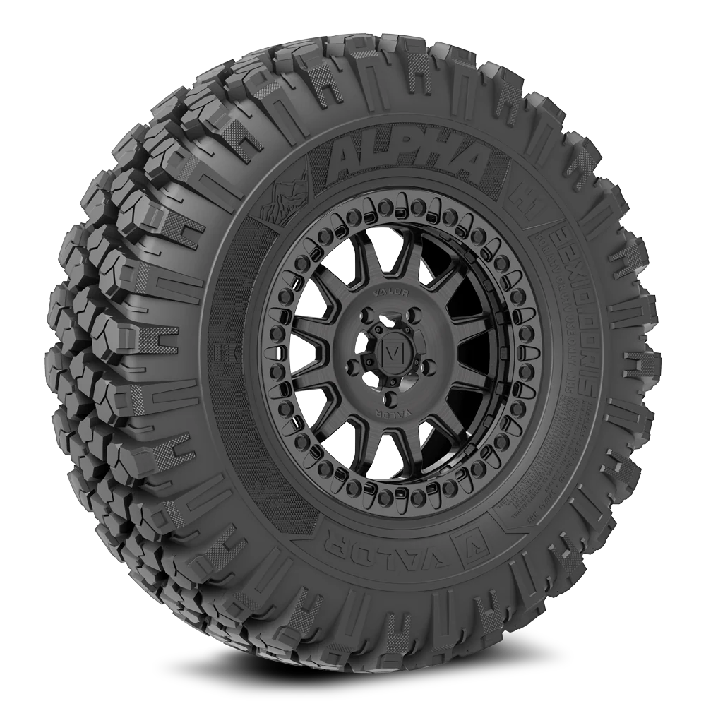 ALPHA TIRE/ V09 combo