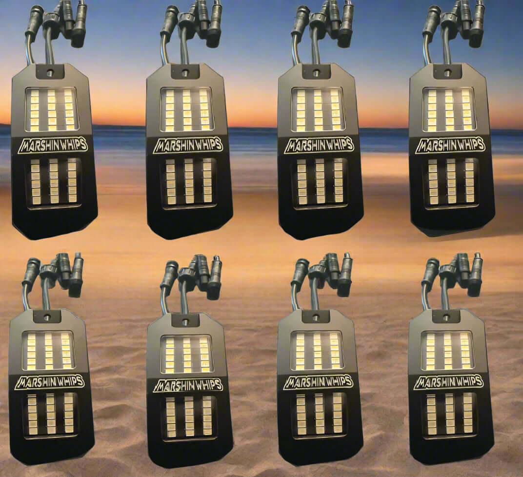 Marshin Whips Rosewell X-2 Billet RV Rocklights x16