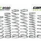 MTS Offroad Can-Am X3 Spring Kit