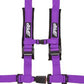 4.2 HARNESS