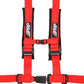 4.2 HARNESS