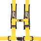 4.2 HARNESS