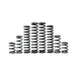 Kawasaki KRX 2-seat Spring Kit - by Z-broz Racing